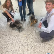 61) Wie is de Rat (zonder horeca)  (Eigen locatie)