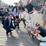 84) Wie is de Rat (zonder horeca)  (Eigen locatie)