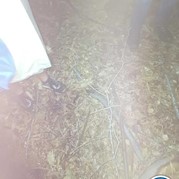 17) Dropping *  (Eigen locatie)