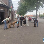 10) Wie is de Rat (zonder horeca)  (Eigen locatie)