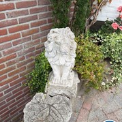 3) Wie is de Rat (zonder horeca)  (Eigen locatie)