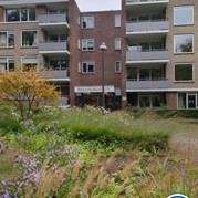 11) HELP, de Directeur is ontvoerd! Apeldoorn