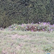 6) Secret Escape Game - Begeleiding op afstand  (Eigen locatie)