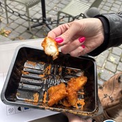 6) Jachtseizoen Breda