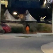 34) Jachtseizoen eigen locatie  (Eigen locatie)