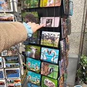 15) Citygame Levend Ganzenbord Zutphen