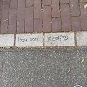 20) Sex in the City met begeleiding op afstand  (Eigen locatie)