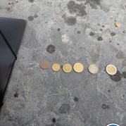 37) Jachtseizoen eigen locatie  (Eigen locatie)