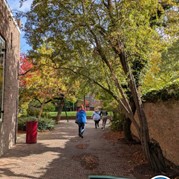 38) Jachtseizoen eigen locatie  (Eigen locatie)