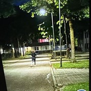 13) Hunted met begeleiding op afstand  (Eigen locatie)
