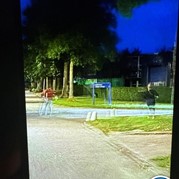 14) Hunted met begeleiding op afstand  (Eigen locatie)