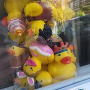 20) Crazy 88 Winterswijk