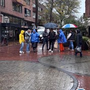 18) Jachtseizoen Eindhoven