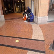 60) Jachtseizoen Eindhoven