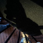 7) Jachtseizoen Eindhoven