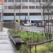 70) Jachtseizoen Eindhoven