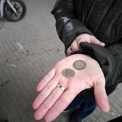 82) Jachtseizoen Eindhoven