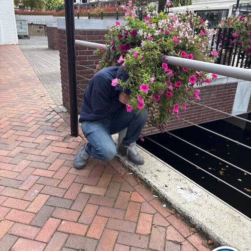 Secret Escape Game - Begeleiding op afstand  (Eigen locatie)