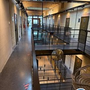 1) Jachtseizoen / begeleiding op afstand  (Eigen locatie)