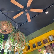 21) Jachtseizoen Apeldoorn