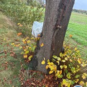 5) Secret Escape Game eigen locatie  (Eigen locatie)