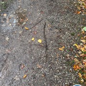 6) Secret Escape Game eigen locatie  (Eigen locatie)