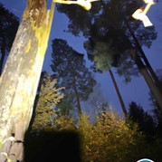 11) Dropping *  (Eigen locatie)