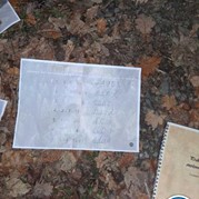 8) Dropping *  (Eigen locatie)