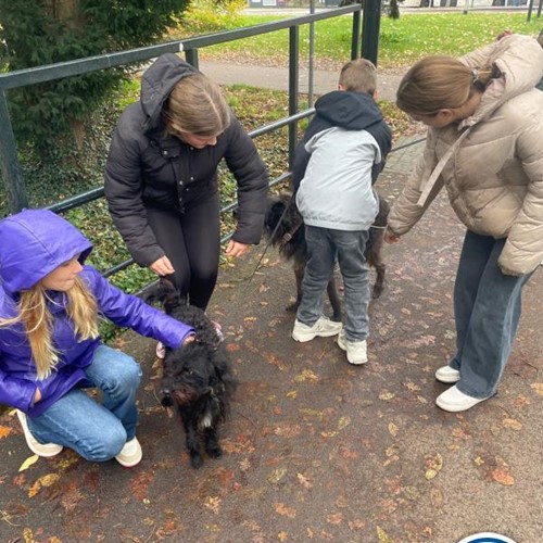 Wie ontdekt de Verrader met begeleiding op afstand  (Eigen locatie)
