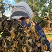 2) Secret Escape Game - Begeleiding op afstand  (Eigen locatie)