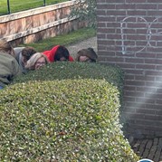 5) Secret Escape Game - Begeleiding op afstand  (Eigen locatie)