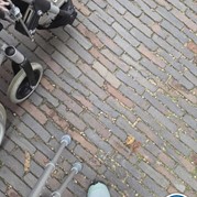 4) 50 Tinten Grijs met begeleiding op afstand  (Eigen locatie)