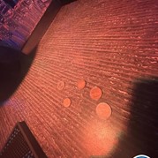 63) Jachtseizoen eigen locatie  (Eigen locatie)