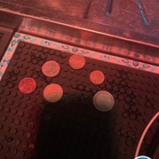 87) Jachtseizoen eigen locatie  (Eigen locatie)