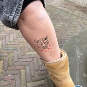 17) The Hangover  Zwolle