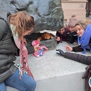 22) The Hangover  Zwolle