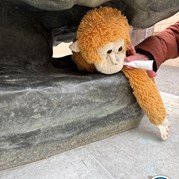 25) The Hangover  Zwolle