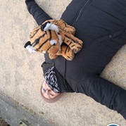 28) The Hangover  Zwolle