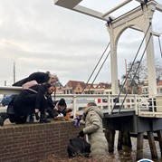 34) The Hangover  Zwolle