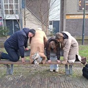 72) The Hangover  Zwolle