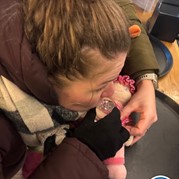 81) The Hangover  Zwolle