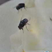 23) Crazy 88 Rotterdam