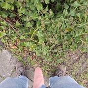 31) Jachtseizoen eigen locatie  (Eigen locatie)