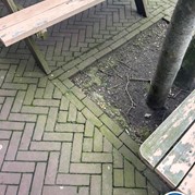 39) Jachtseizoen eigen locatie  (Eigen locatie)