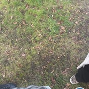 82) Jachtseizoen eigen locatie  (Eigen locatie)