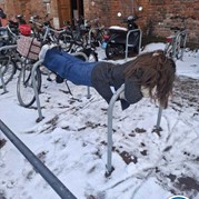 12) Jachtseizoen / begeleiding op afstand  (Eigen locatie)