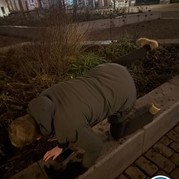 10) Cluedo met begeleiding op afstand  (Eigen locatie)