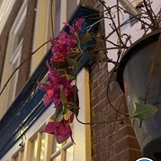 14) Cluedo met begeleiding op afstand  (Eigen locatie)