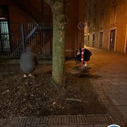 22) Cluedo met begeleiding op afstand  (Eigen locatie)