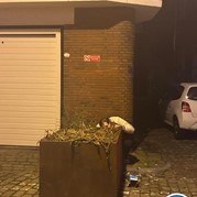 23) Cluedo met begeleiding op afstand  (Eigen locatie)